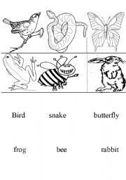 English Worksheet: animals memory cards