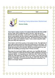 English Worksheet: Human body reading comprehension