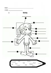 English Worksheet: Body parts