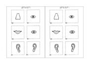 English worksheet: Lets cut and glue - FACE