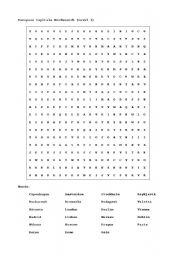 English worksheet: wordsearch