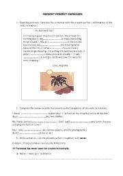 English Worksheet: present perfect exercises