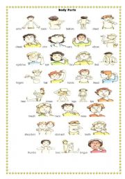 English Worksheet: body parts