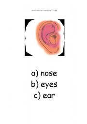 English worksheet: ear