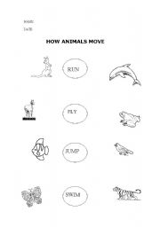 English worksheet: Animals move