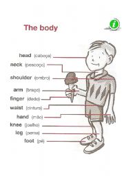 English Worksheet: Parts of the Body