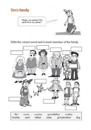 English Worksheet: The family