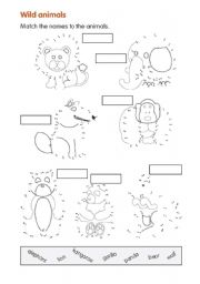 English Worksheet: Wild animals