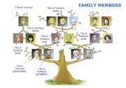 English Worksheet: Family members