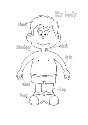 English Worksheet: my body