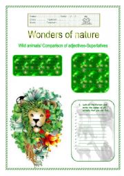 English Worksheet: Wonders of nature