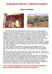 English Worksheet: Elephant slaughter- Grammar and writing exercises