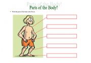 English Worksheet: Parts of  the Body