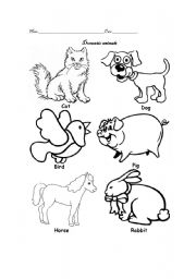 English Worksheet: domestic animals