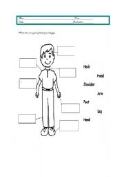 English Worksheet: Parts of the body