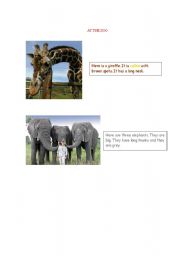 English Worksheet: At the zoo