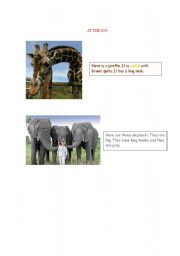 English worksheet: At the zoo