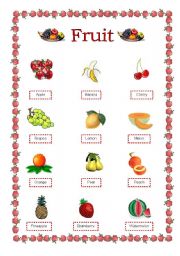 English Worksheet: Fruit Handout