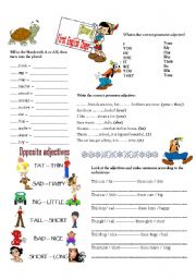 English Worksheet: FIRST ENGLISH  STEPS --- STEP 4