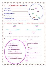 English Worksheet: Present Simple + Possessive Pronouns
