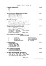 English worksheet: Grammar Quiz