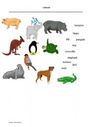 English worksheet: Animals