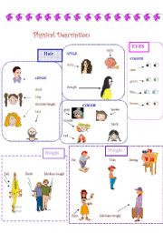 English Worksheet: Physical description - part 01