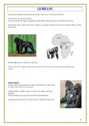 English Worksheet: gorillas reading
