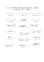 English worksheet: FALSE FRIENDS?