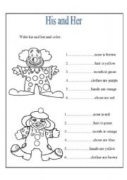 English Worksheet: His and Her