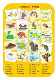 English Worksheet: Animals tricks