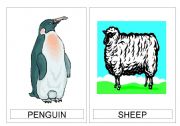 English worksheet: animals