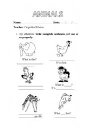 English Worksheet: Animals and a/an