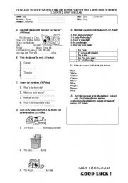 English Worksheet: primary school test