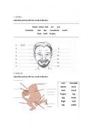 English Worksheet: your body and face