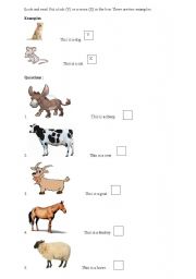 Animals - true or false (Cambridge exercise)