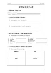 English Worksheet: Basic Knowlege