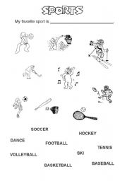 English worksheet: Sports