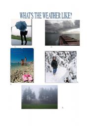 English Worksheet: what the weather like?