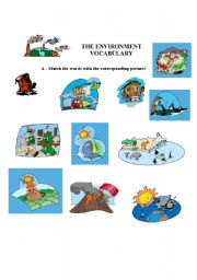 environment vocabulary