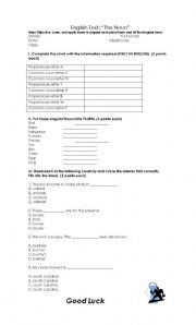 English worksheet: The Noun - test