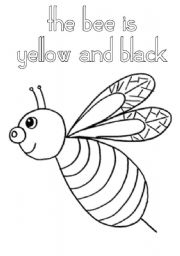 English Worksheet: Insects