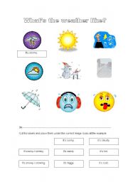 English Worksheet: The weather