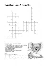 English Worksheet: Australian Animals