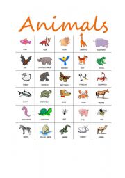 English Worksheet: Animal Collection