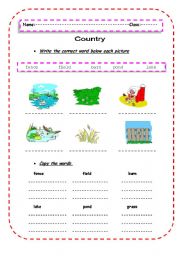 English Worksheet: City and Country