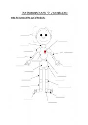 English Worksheet: The human body