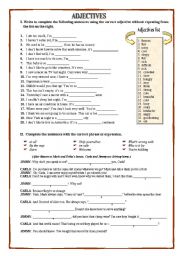 English Worksheet: Adjectives and Expression Exercises