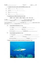 English worksheet: Test