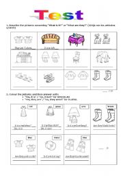 English Worksheet: Test. What is it? What are they? Vocabulary